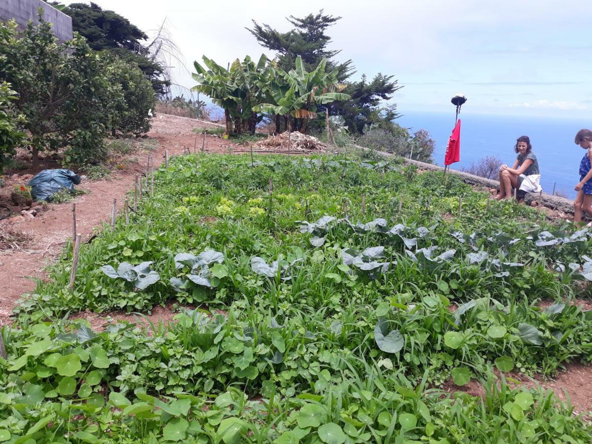 Casas En Finca Ecologica La Espiral, Naturaleza, Calma Y Vistas Al Mar, Icod el Alto Extérieur photo